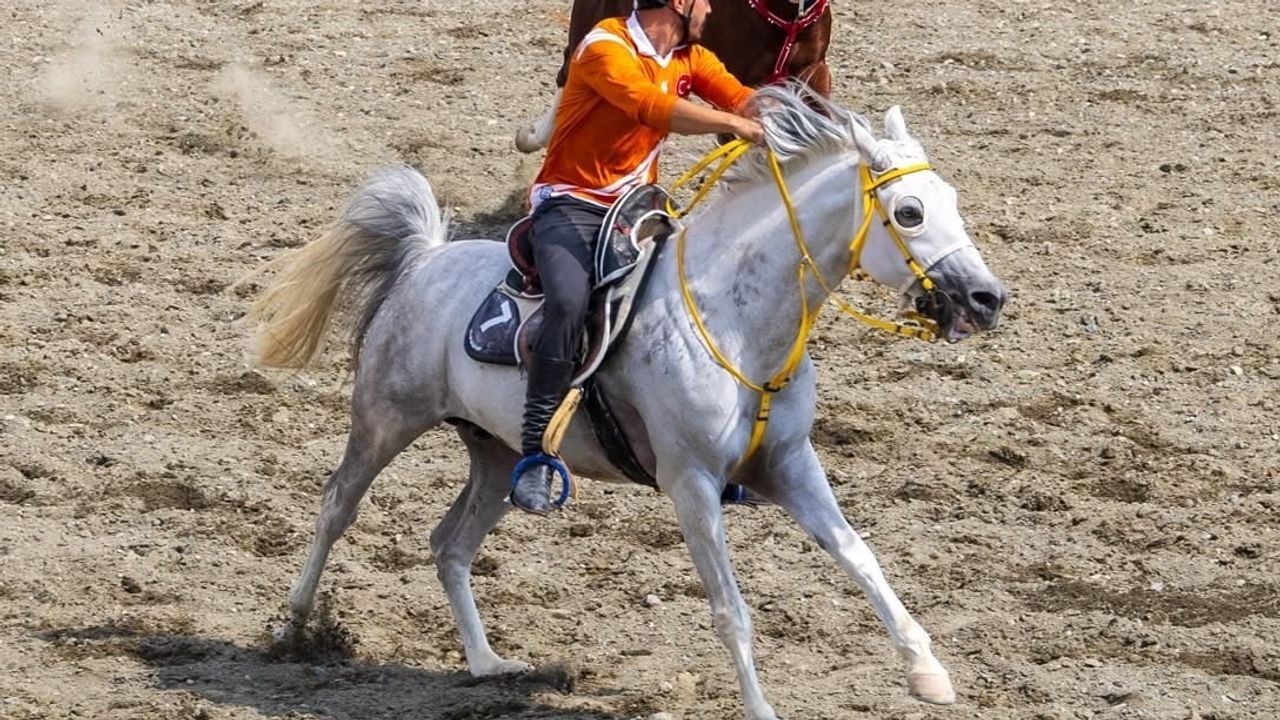 Erzincan’da sona eren atlı cirit ön elemeleri Ankara TMO'yu yarı finale taşıdı