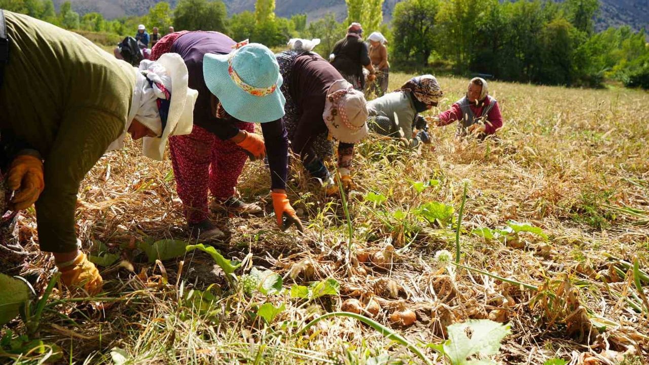 Erzincan'da tarıma 169,6 milyonluk hibe ile 38 proje hayata geçiyor