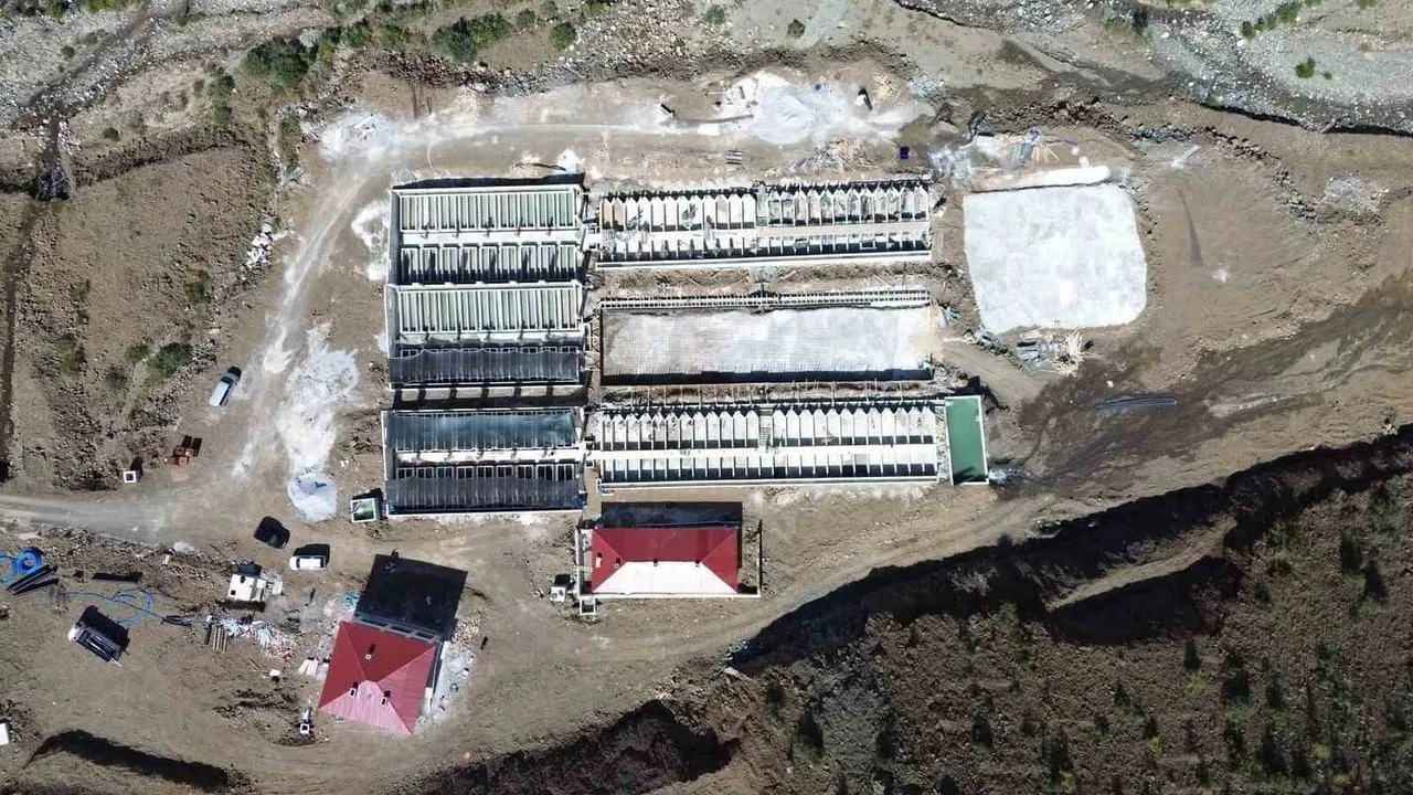 Erzincan'dan 18 ülkeye uzanan somon hattı