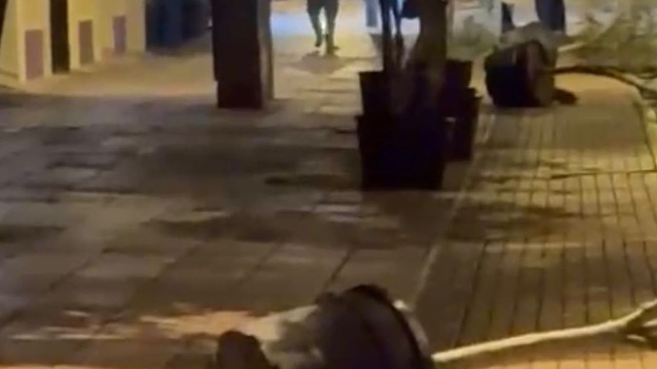 Eskişehir'de gece yürüyüşü sırasında kaldırım saksılarını deviren kişi görüntülendi