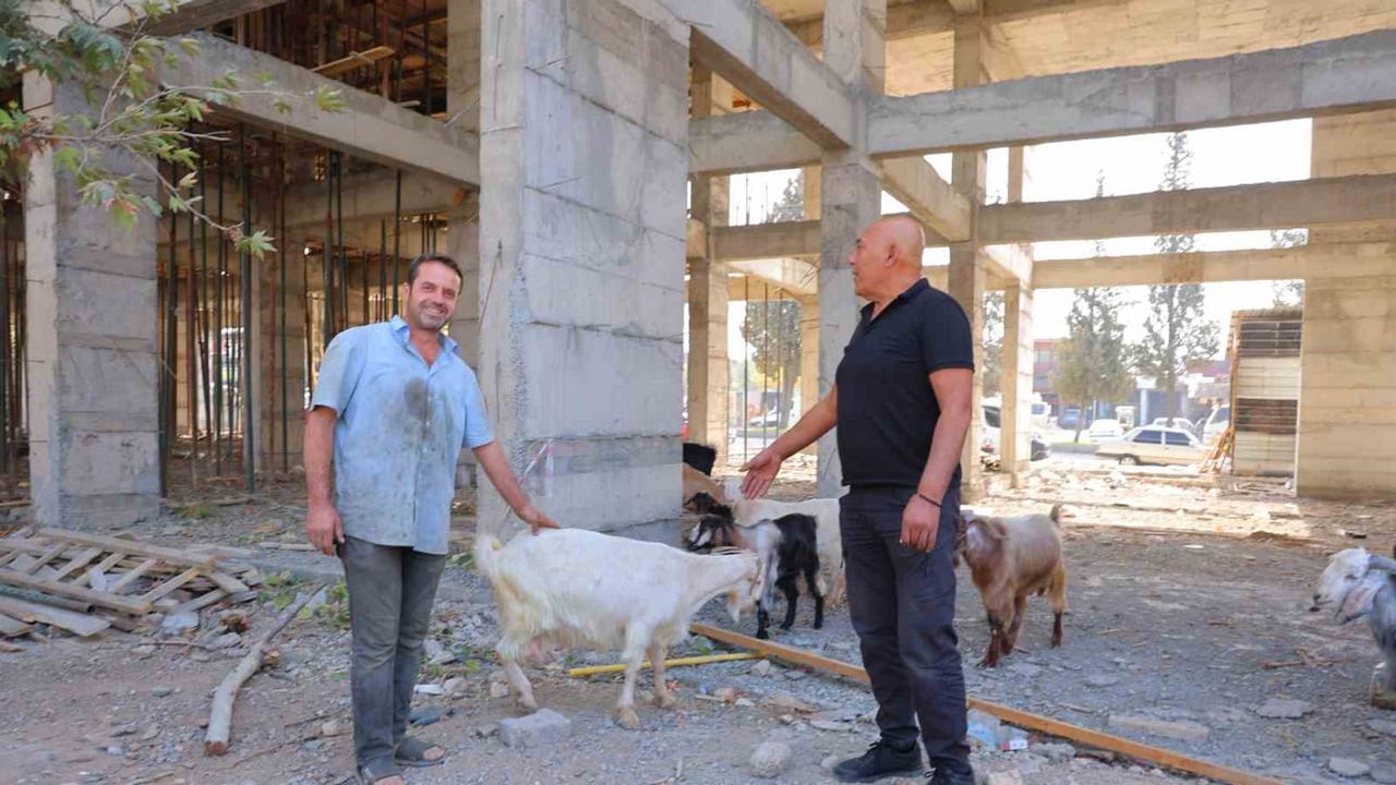 Esnafın gözetiminde Küçük Sanayi Sitesi'nde bulunan 9 keçi sahibini bekliyor