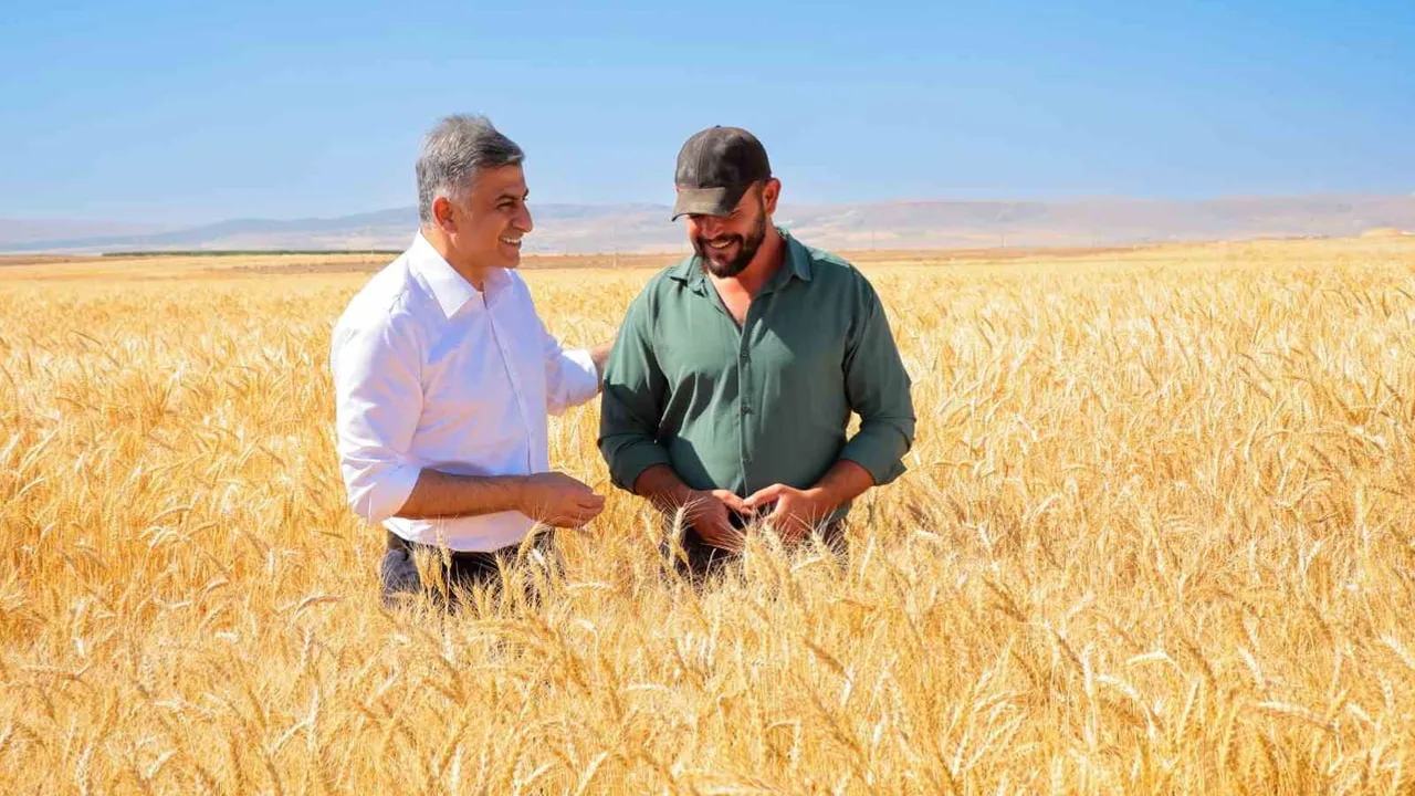 ETİ'nin kanatlı buğdayı ile kuraklık riskine karşı hammadde güveni