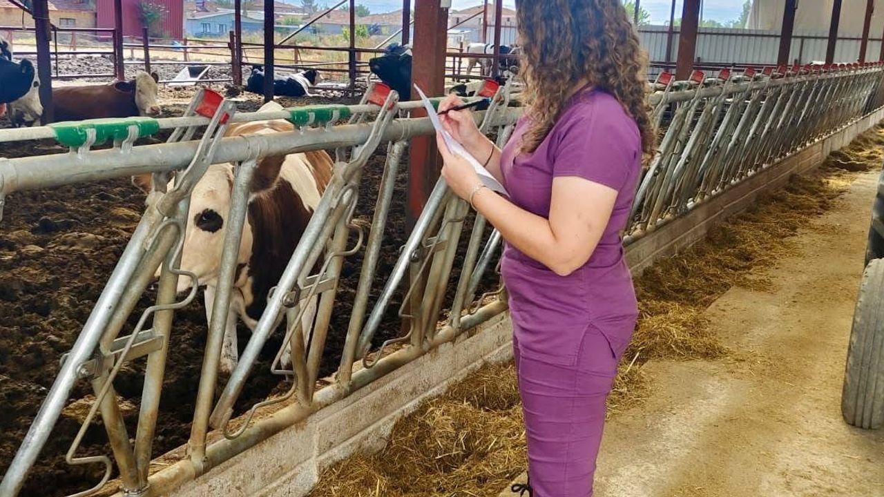 Evciler'de hayvancılık işletmelerinde kapasite değerlendirmesi yapıldı