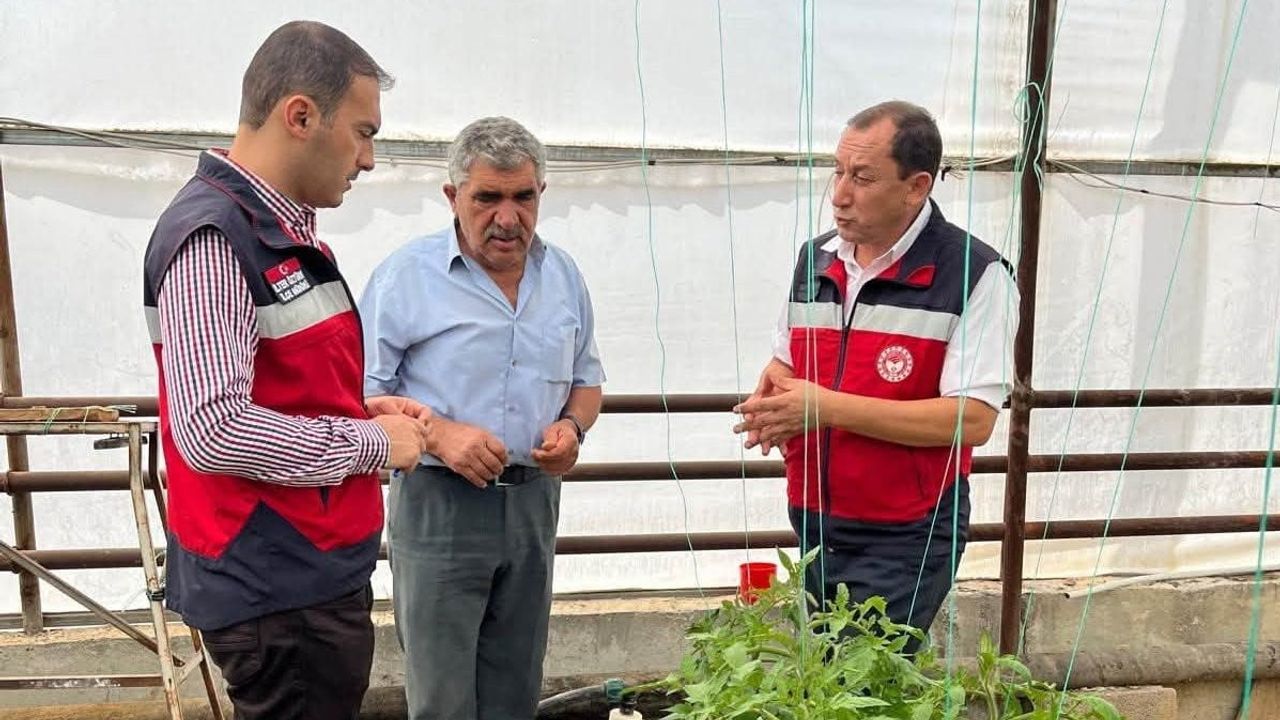 Eynal'de seralara yakın takip: Simav'da üreticilerle yerinde değerlendirme