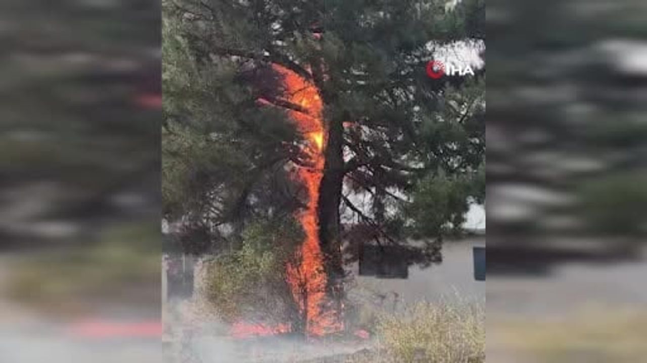 Feke'de Tenkerli Mahallesi'nde orman yangını, helikopterle müdahale sürüyor