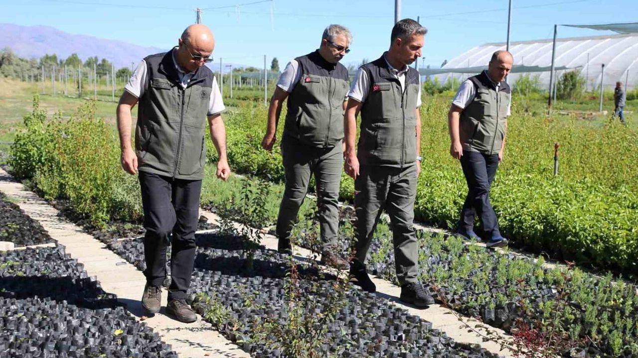 Fidan üretiminde hedef 2026: Erzincan şefliğinde saha incelemesi