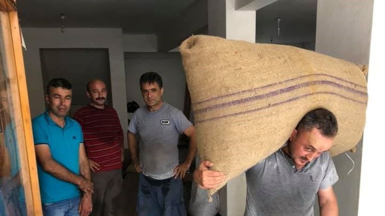 Fındıkta maliyet baskısı ve küresel rekabet endişesi