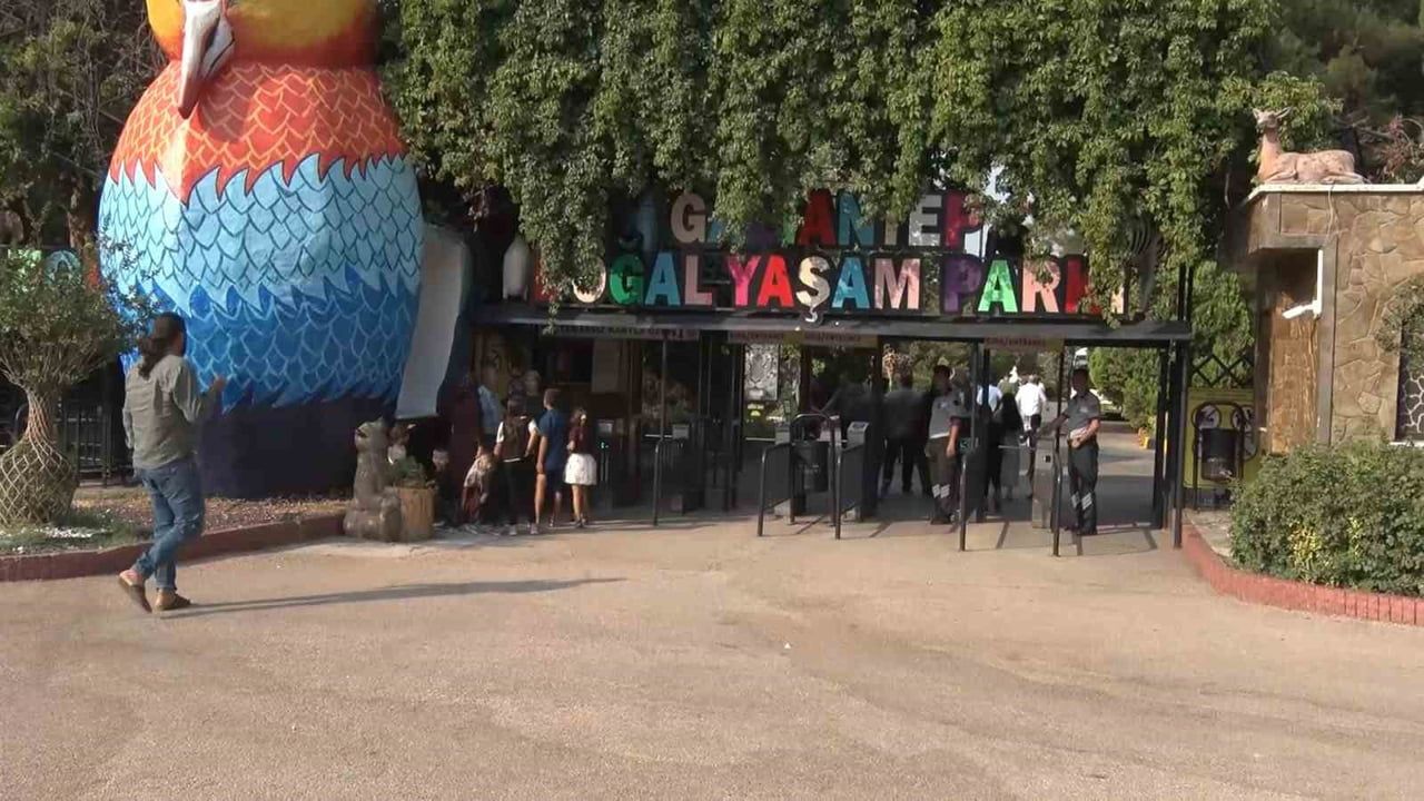 Gaziantep'te yırtıcı adası ziyaretçi deneyimini değiştiriyor