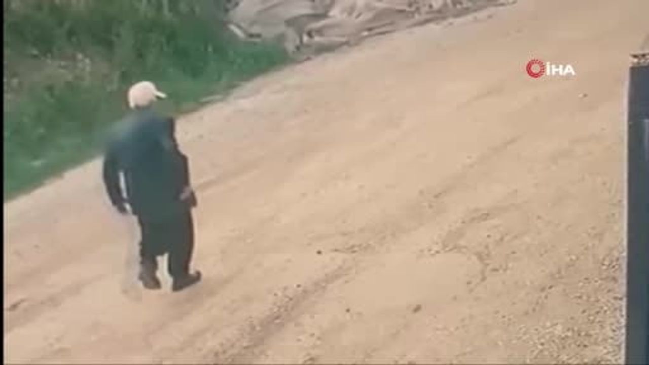 Gazipaşa'da ormanlık alanda bulunan kafatası 15 aydır kayıp vakasını yeniden gündeme taşıdı