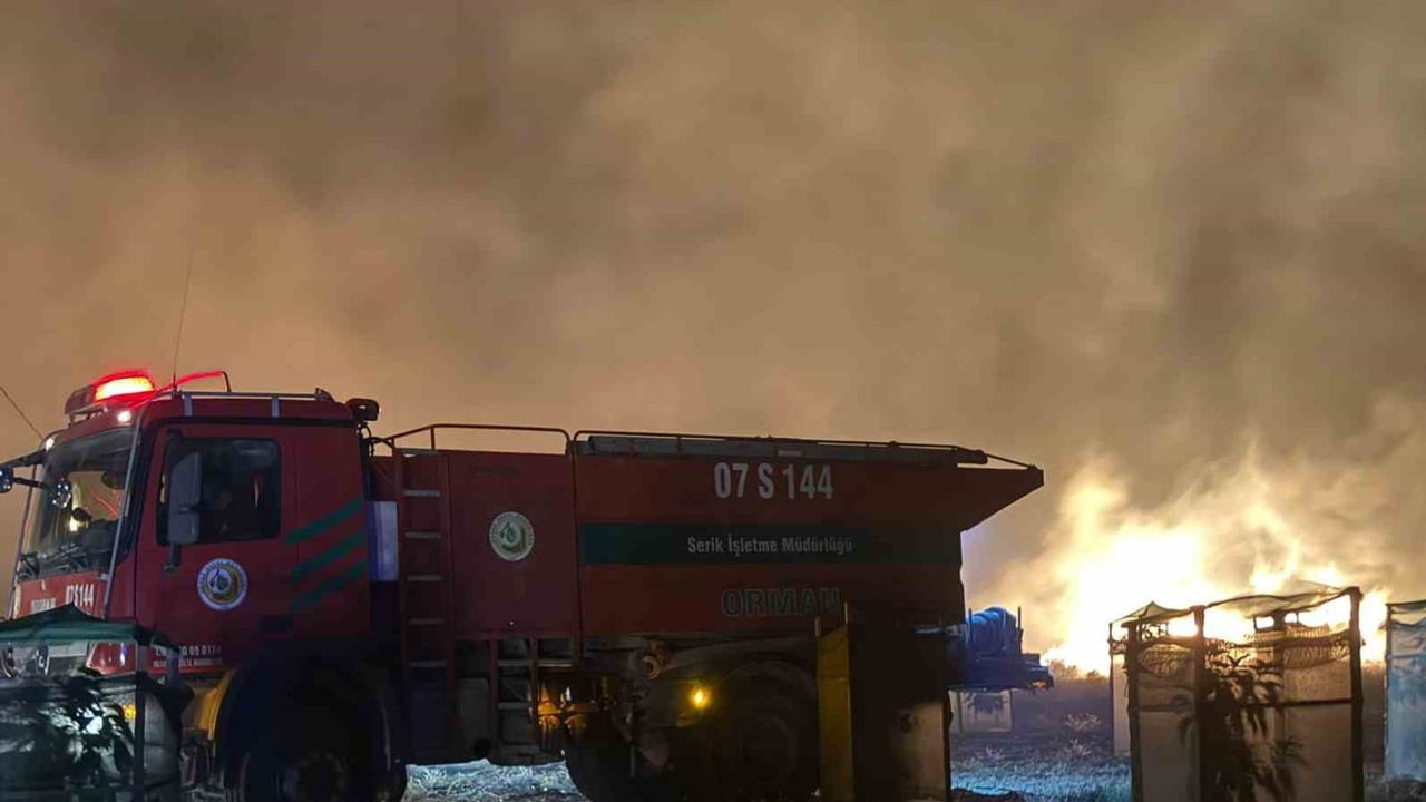 Gece yarısı Serik'te eş zamanlı tarım arazisi yangınları, iki ev kullanılamaz hale geldi