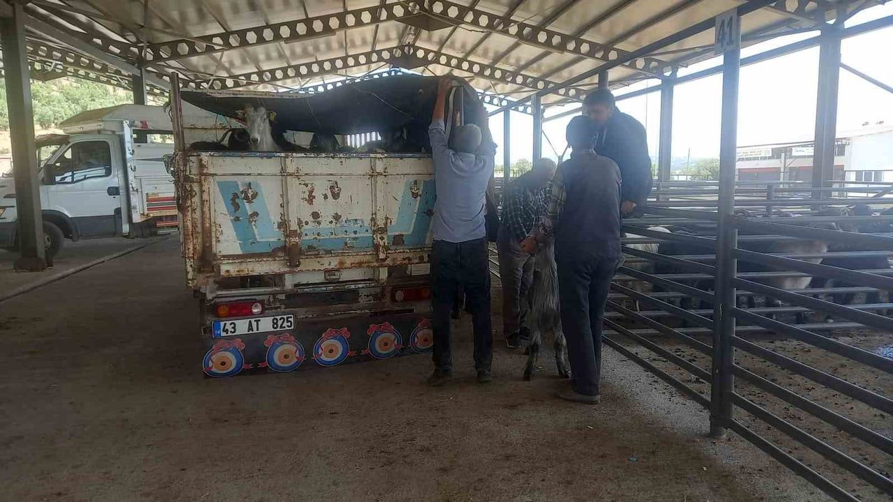Gediz canlı hayvan pazarı hizmet gününü pazartesiye taşıdı