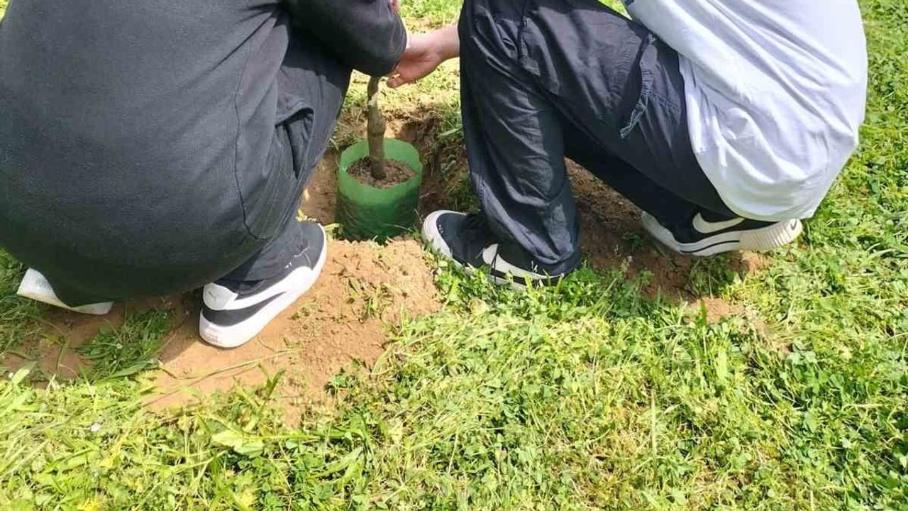 Geleceğe kök salan iş birliği projesine ulusal kalite etiketi