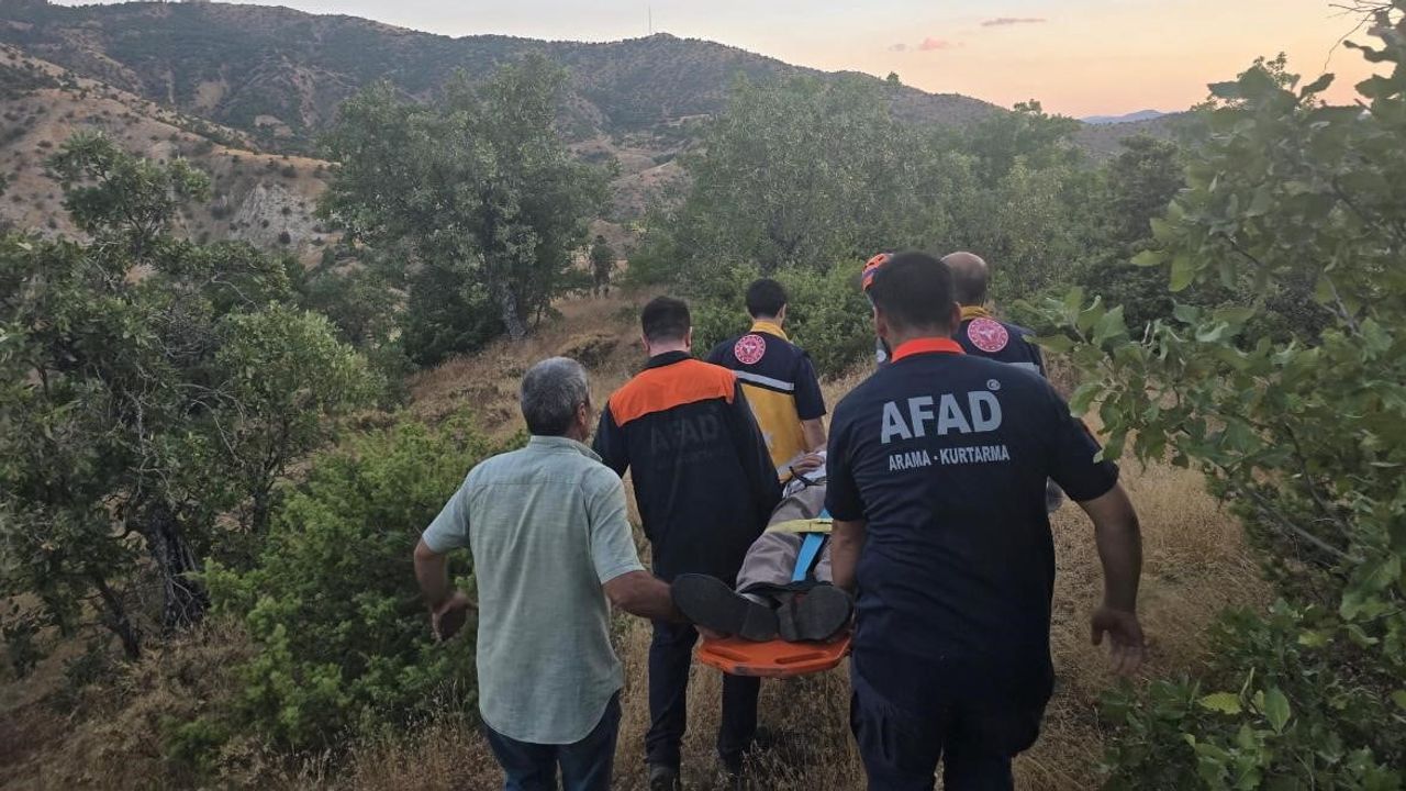 Genç ilçesinde palamut toplarken kaybolan kişi jandarma ve AFAD'ın çalışmasıyla sağ kurtarıldı