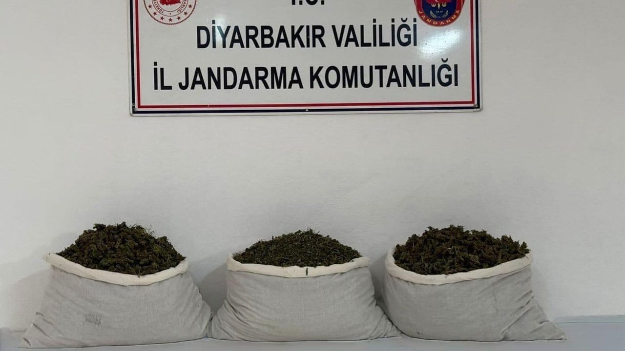 Geniş çaplı Diyarbakır operasyonunda yüz binlerce kenevir ele geçirildi