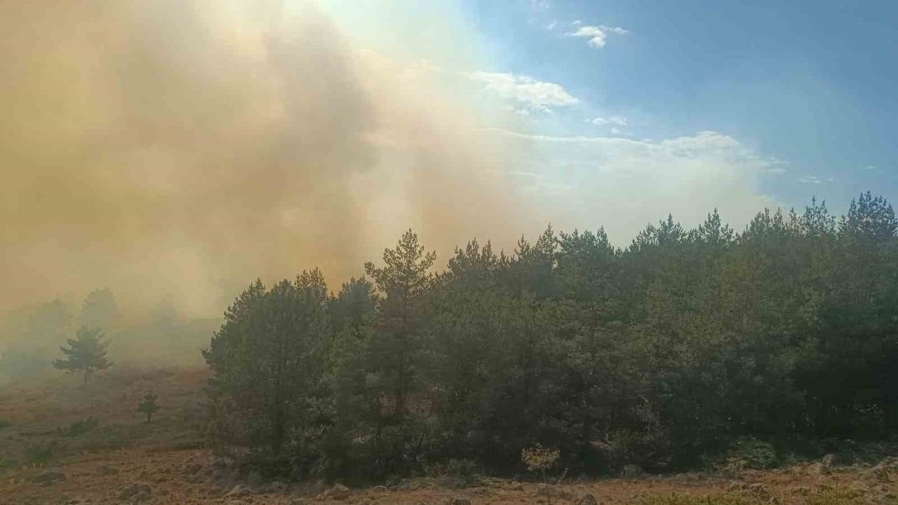 Gerede'de anız yangını ormana sıçradı, iki helikopterle müdahale sürüyor