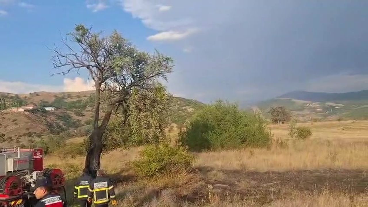 Gerede'de yağış sırasında yıldırım ağacı vurdu, yangın kontrol altına alındı
