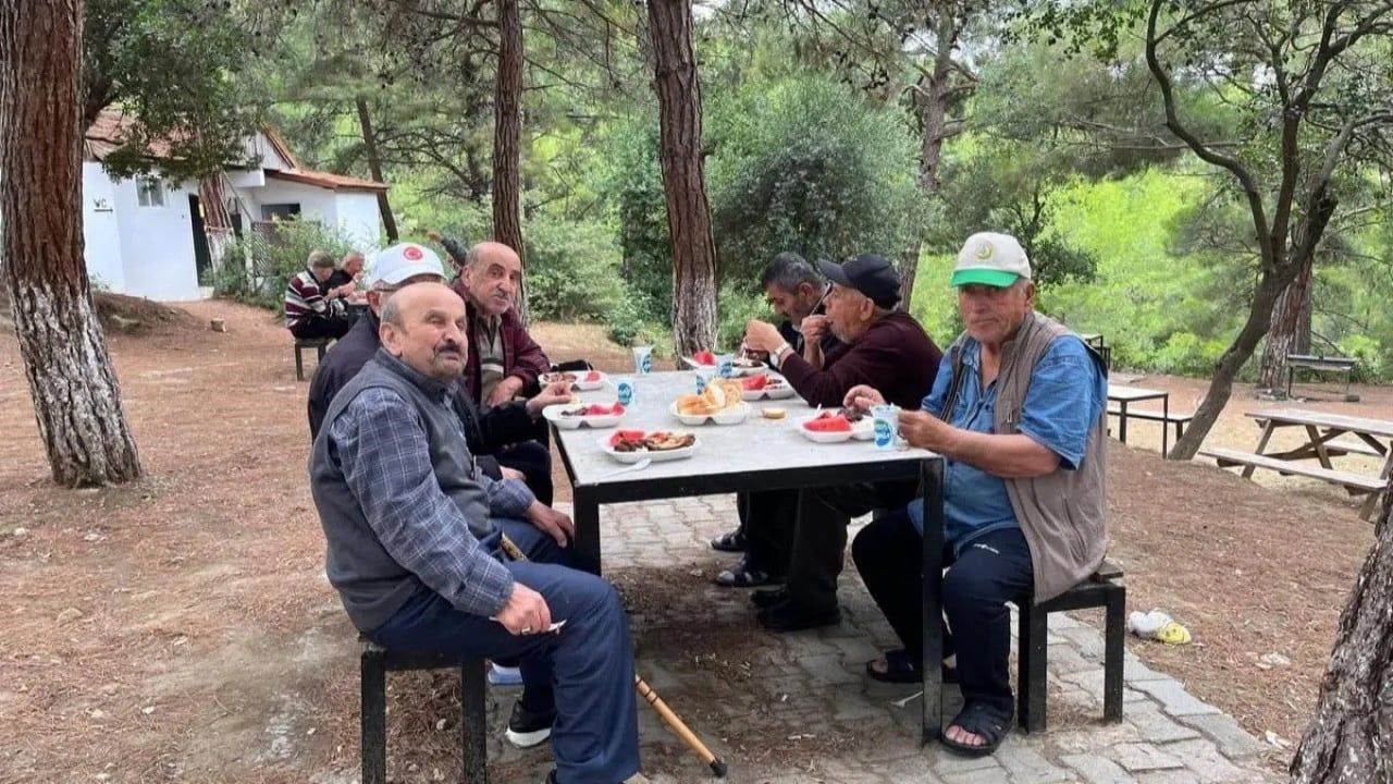 Gerze’de çınarlar doğayla buluştu: huzurevi sakinleri moral buldu