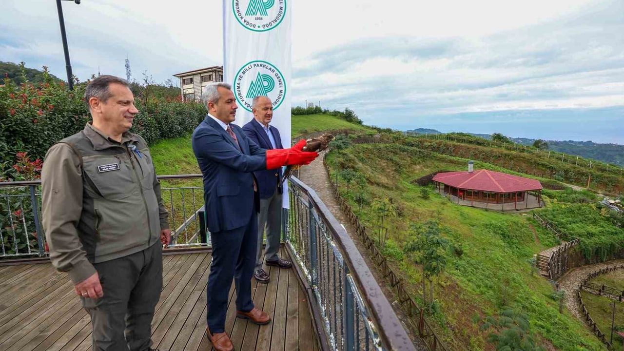 Göç yoluna yeniden kanat açtılar: Rize'de arı şahini doğaya bırakıldı