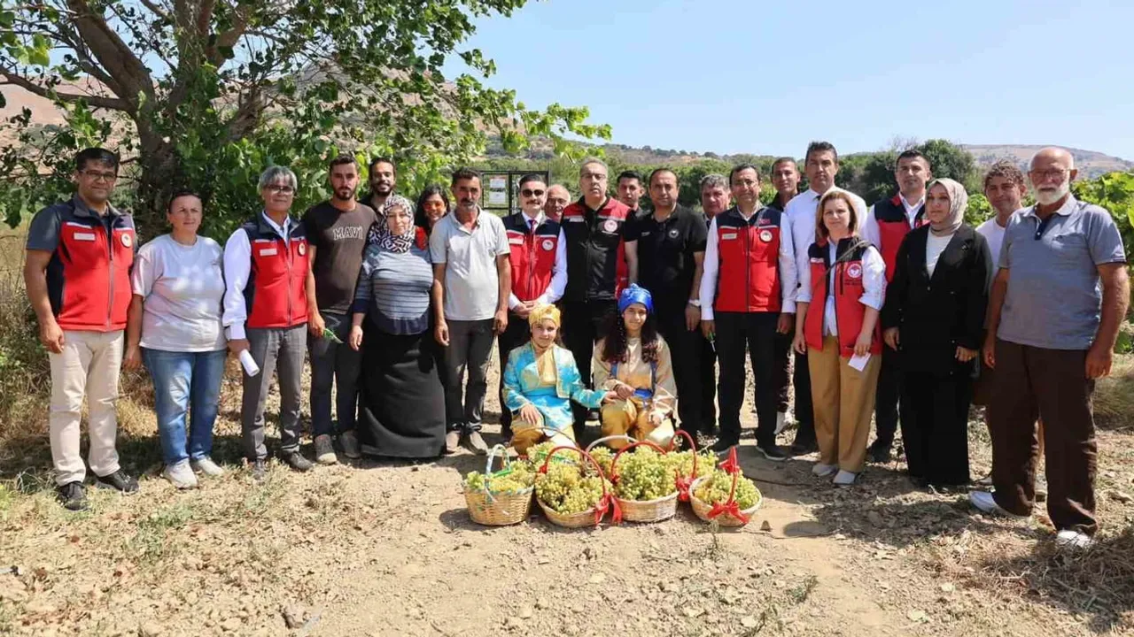 Gökçeada’da bağlarda sultani hasadı: tarım heyeti üreticilerle buluştu