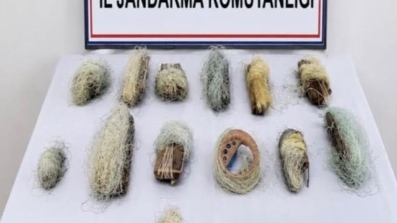 Gölet denetiminde 15 kaçak ağ imha edildi, canlı balıklar gölete bırakıldı