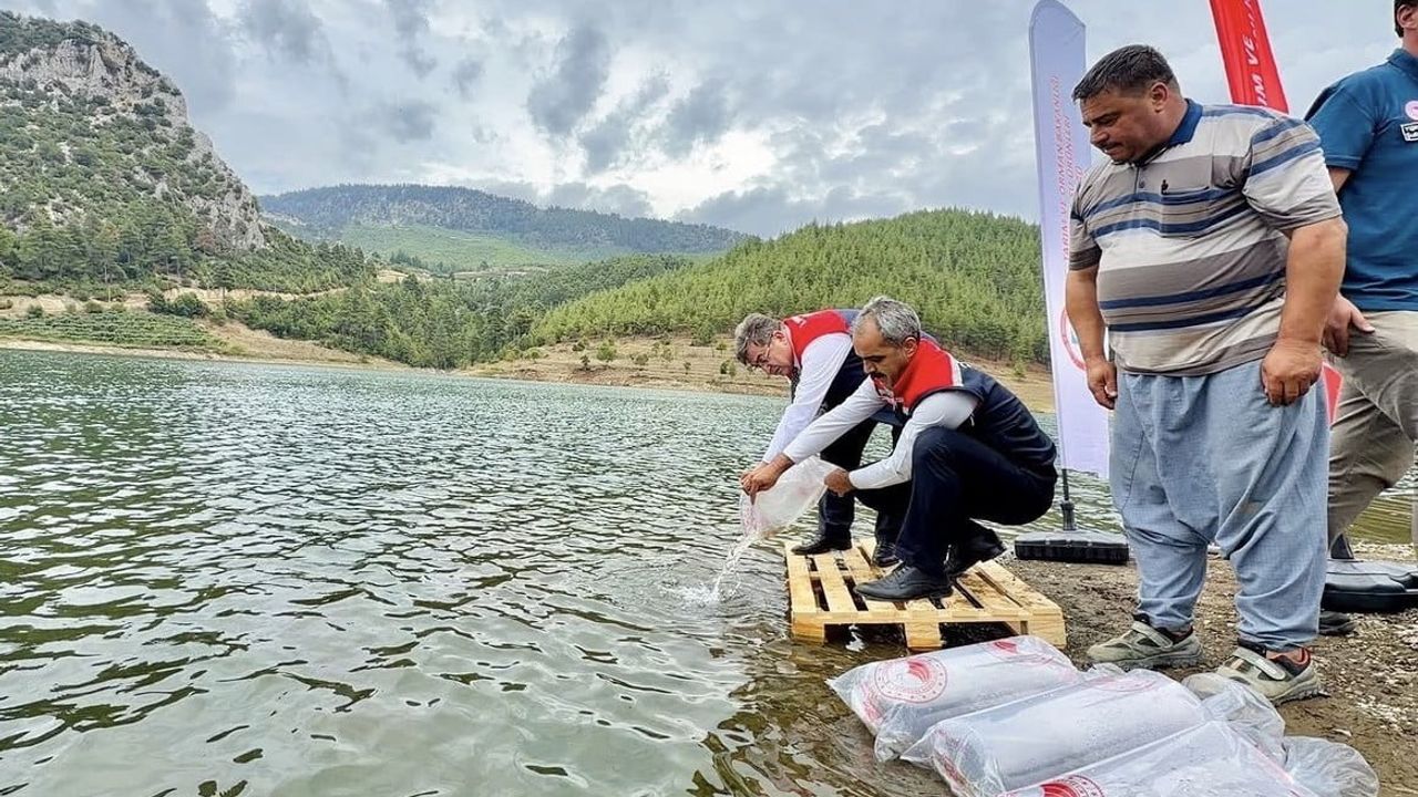 Göllere 347 bin yavru sazan bırakıldı, doğal yaşam korunacak