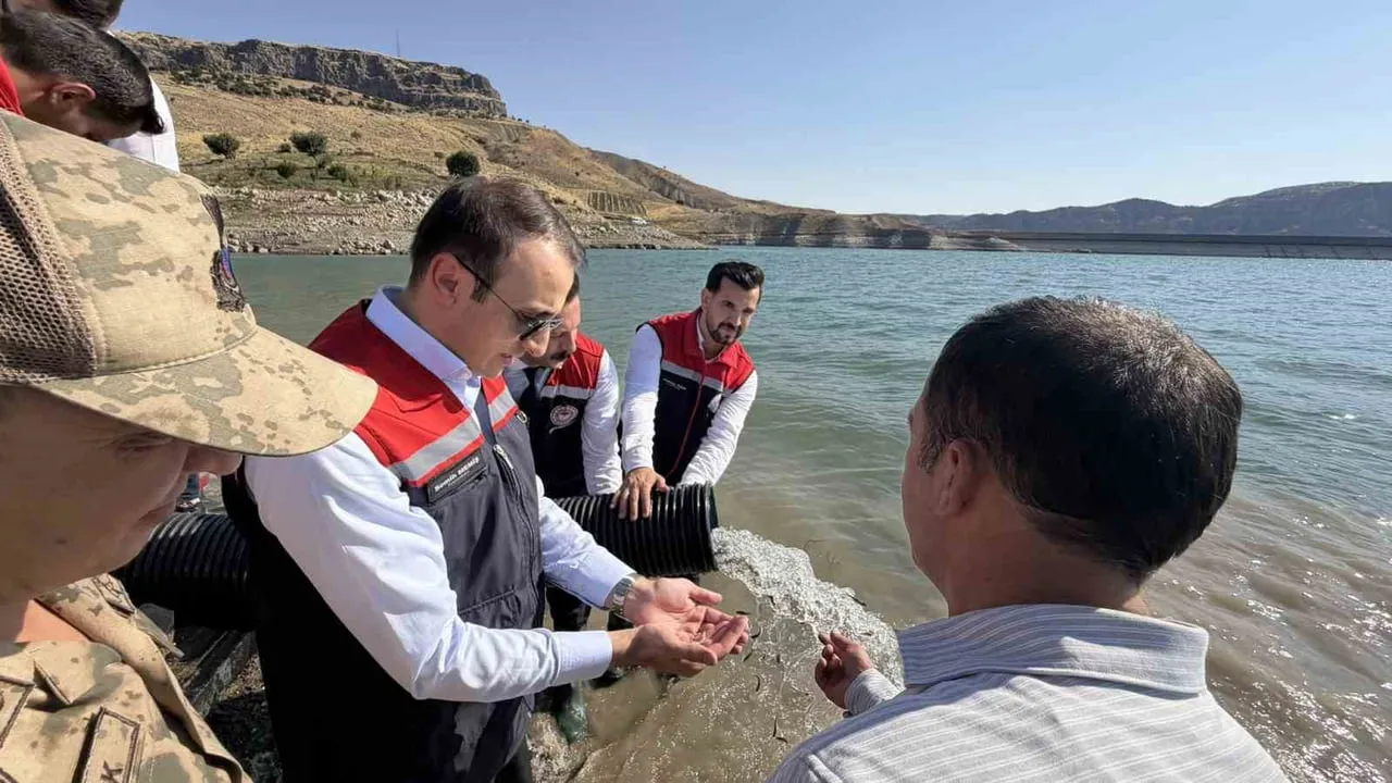 Güçlükonak'ta su kaynaklarına 800 bin yavru şabut bırakıldı