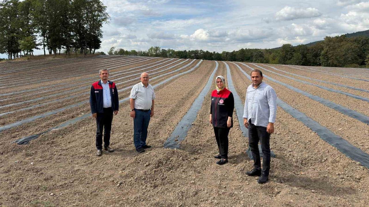 Gümüşova'da tarımda çeşitlendirme: yaban mersini ve aronya üretimine yeni adım