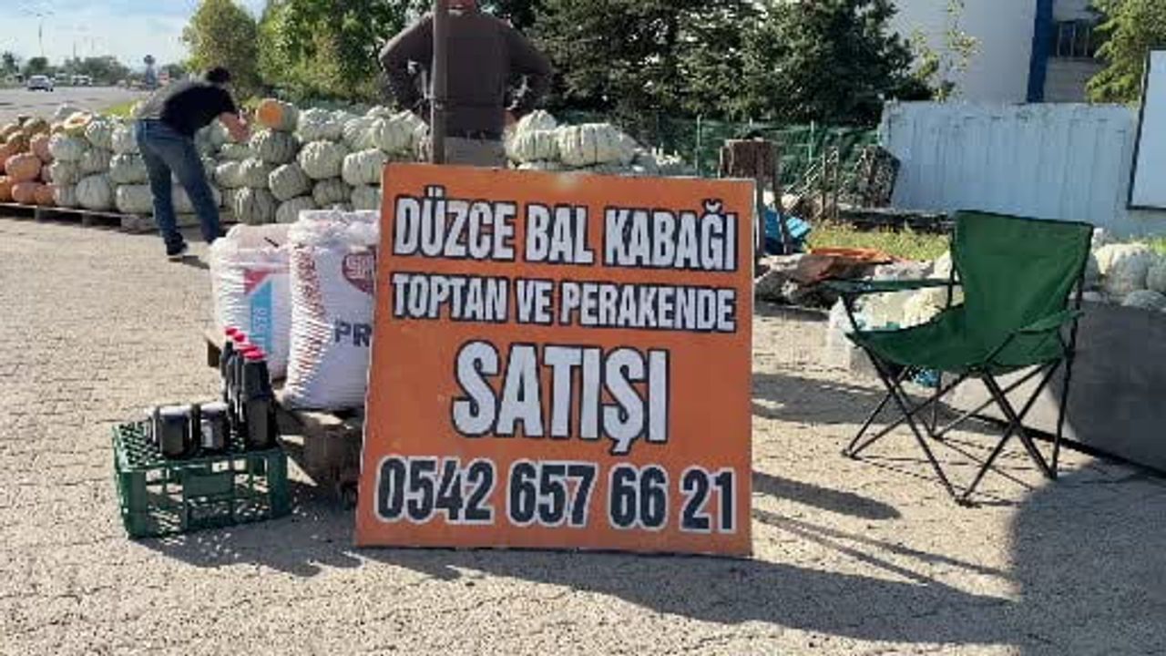 Gurbetçilerin valizinden dünya pazarına: Düzce kabağının yükselişi