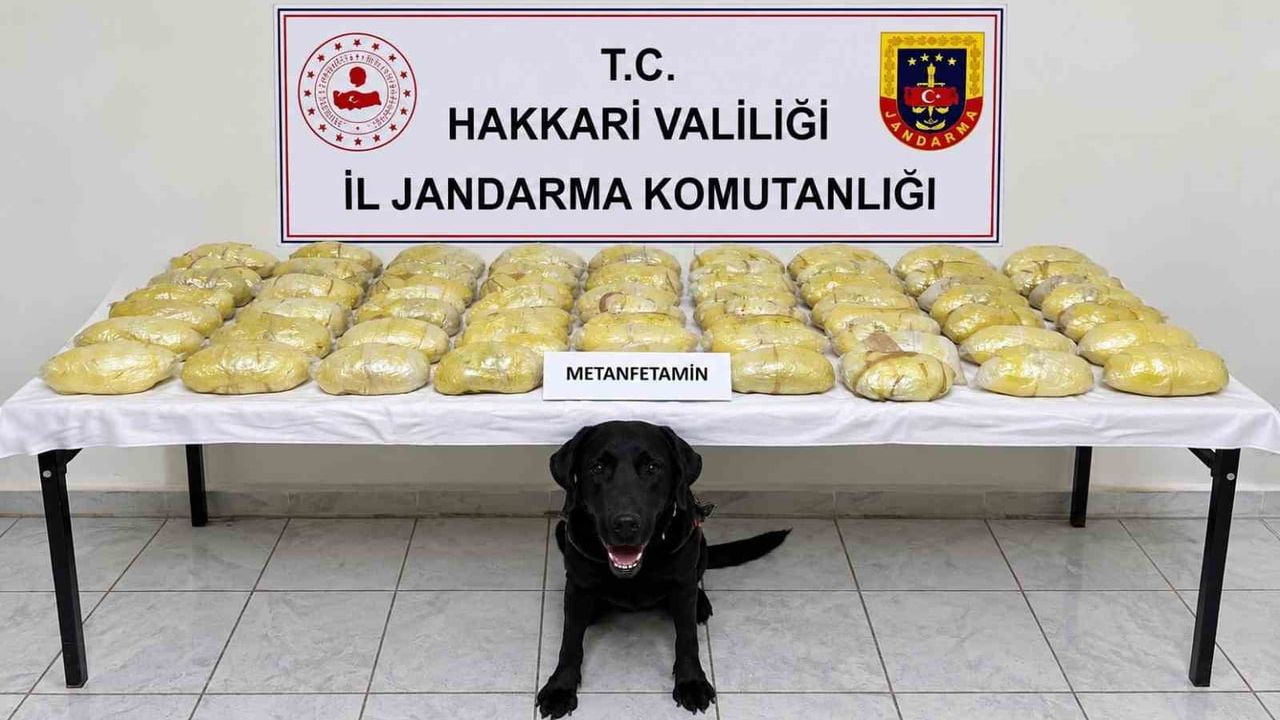 Hakkâri'de serbest yol kontrolünde tırdan 21 kilo 700 gram metamfetamin çıktı