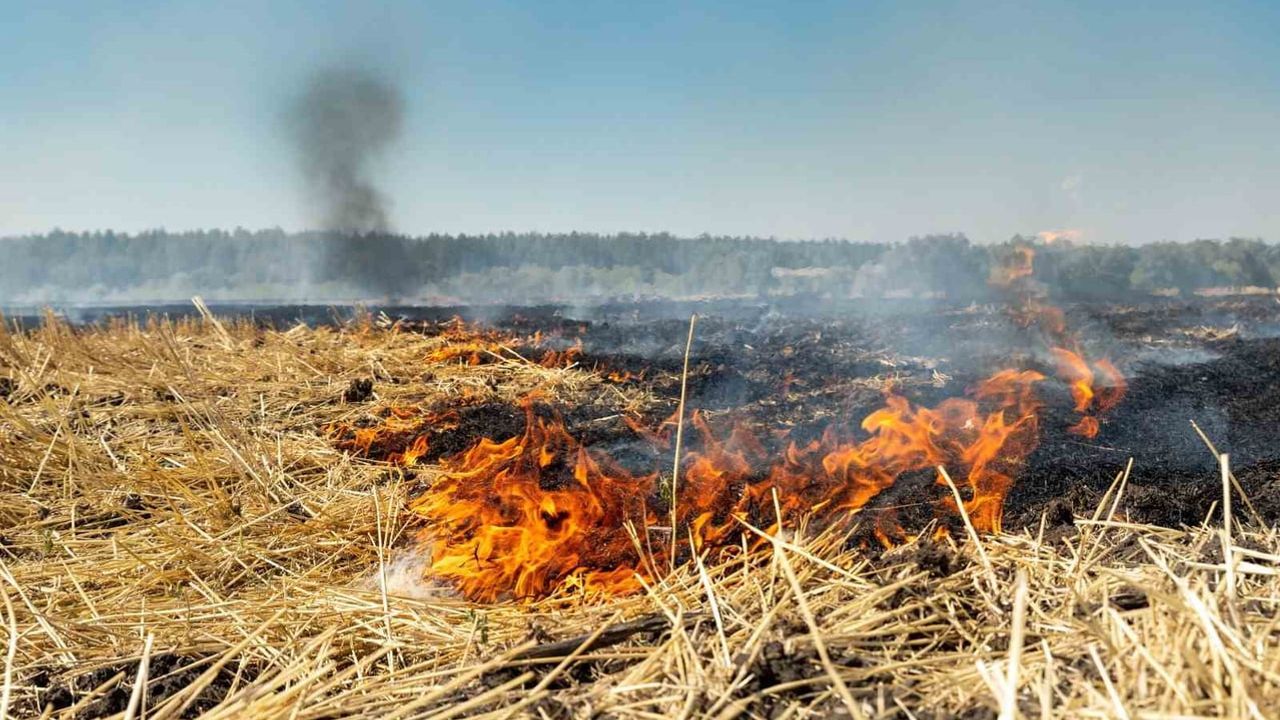 Hasat sonrası anız yangınları enerji altyapısını hedef aldı