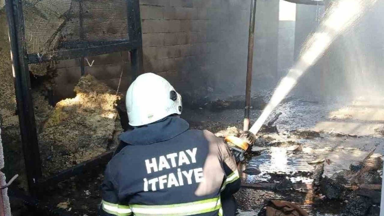 Hassa'da alevlere karşı koordineli mücadele: ev ve ahır güvene alındı