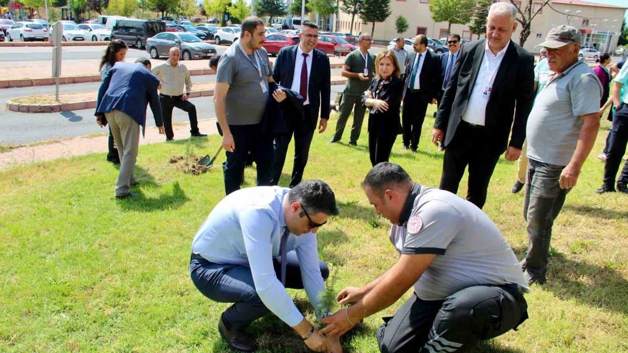 Hastane bahçesine nefes: kliniğin fidan dikme seferberliği