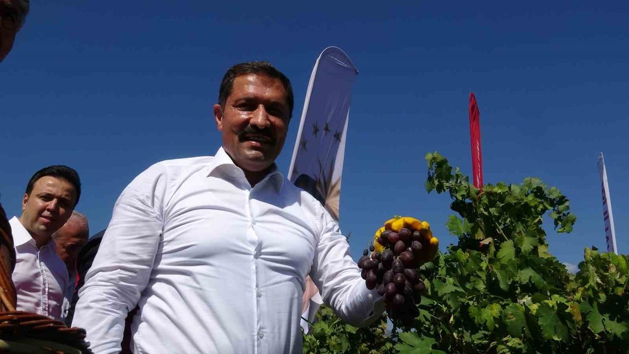 Hatay'da bereketin simgesi: üzüm hasadı başladı, 85 bin ton rekolte hedefleniyor