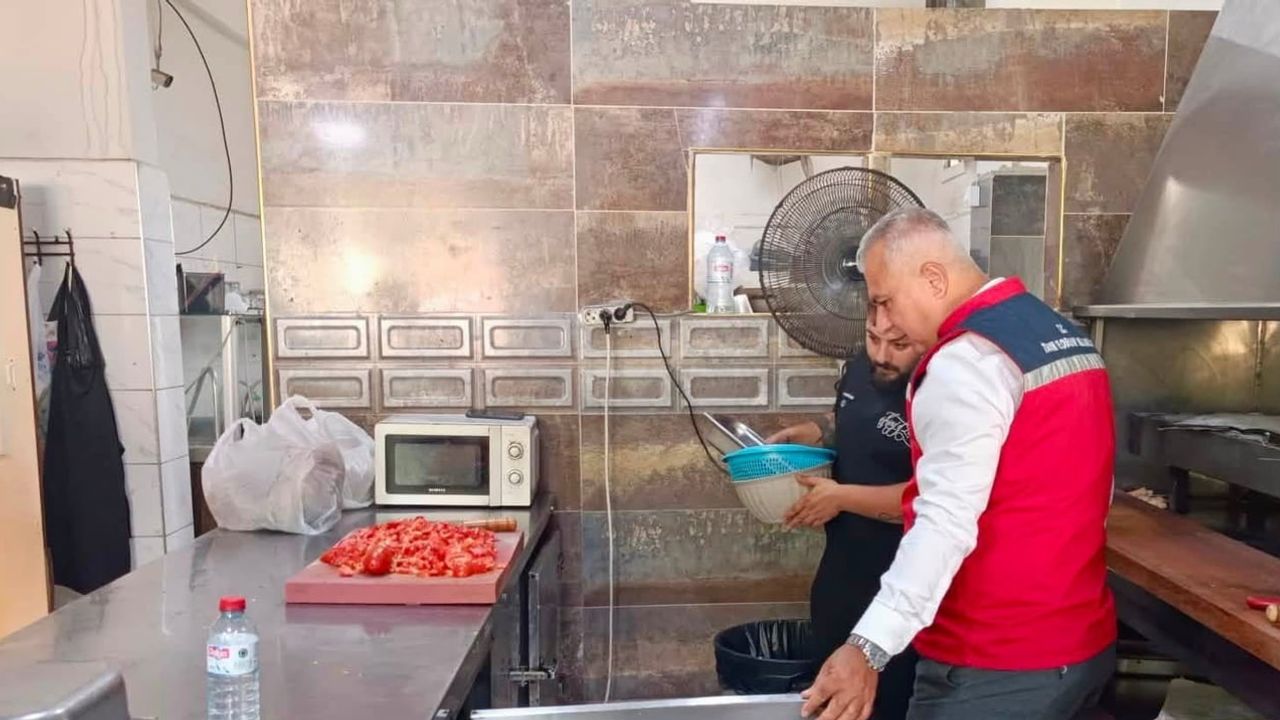 Hatay'da gıda güvenliği denetimleri yerinde takip edildi