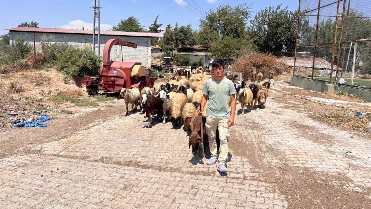 Hataylı aile 5 yıldır yanlarında büyüttükleri Suriyeli gencin geri gönderilmemesini istiyor