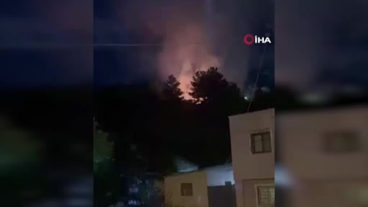 Havai fişek Arsuz'da orman yangınına yol açtı
