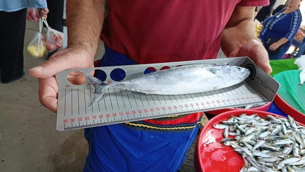 Hayrabolu salı pazarında su ürünleri satışları denetlendi