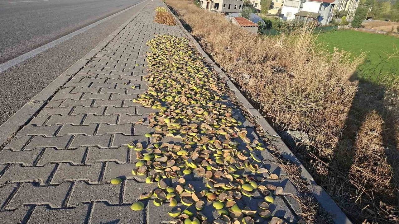 Hisarcık'ta sokaklar elma sergisine döndü