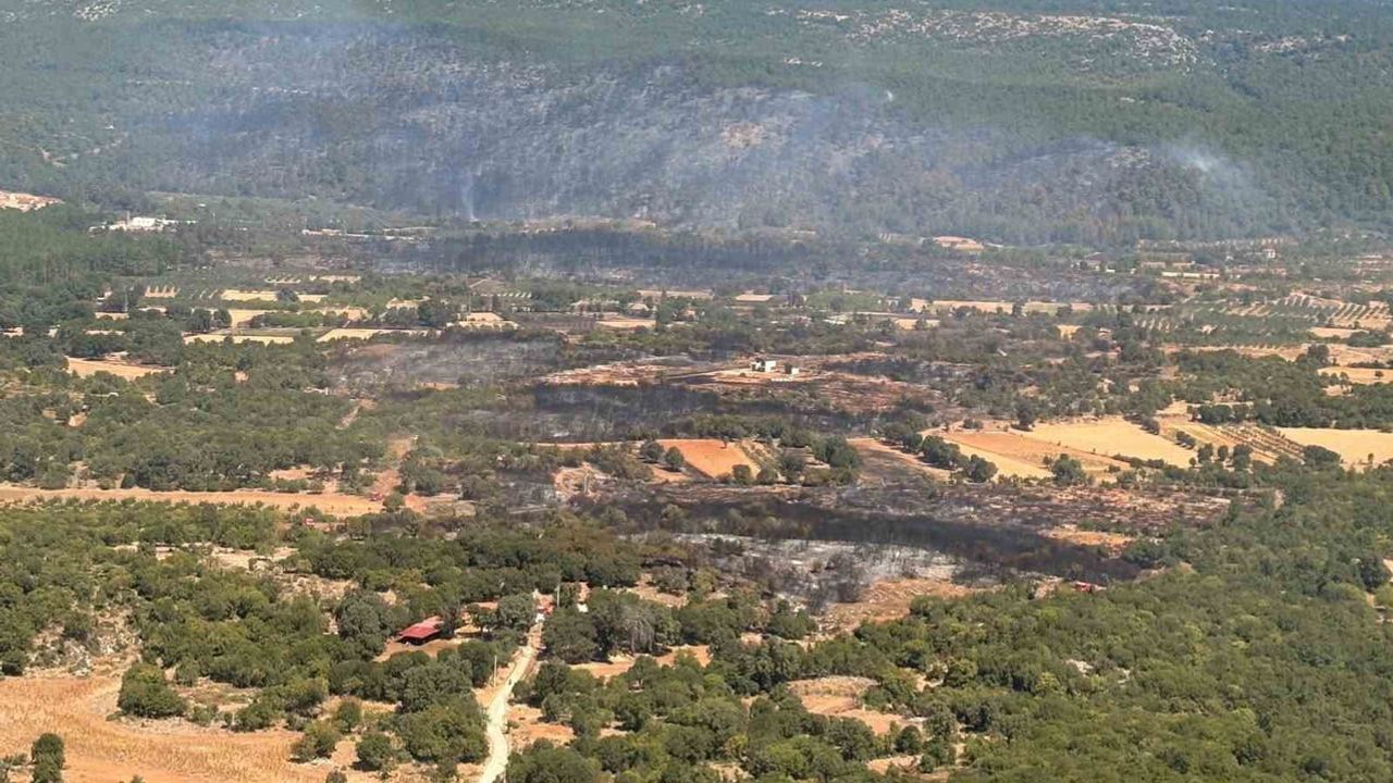 Hızlı hava müdahalesi Muğla yangınını kontrole taşıdı