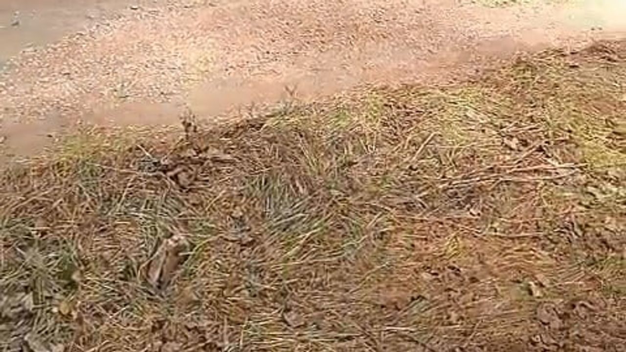 Hızlı müdahale yangının yayılmasını engelledi: Yıldırım'da depo alevleri söndürüldü