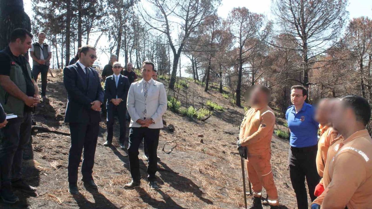 Hükümlüler beş ilçede ormanların yeniden yeşillenmesine katkı veriyor