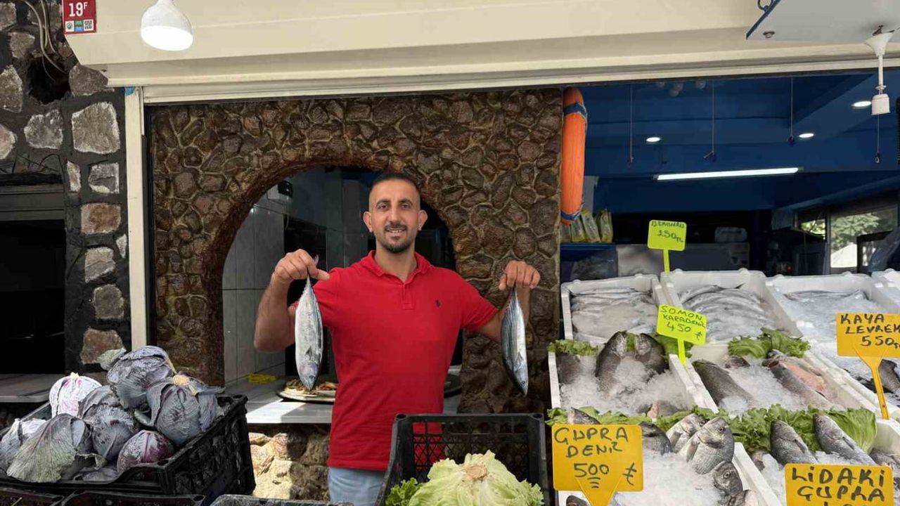Iğdır’da sezon açıldı ama hamsi fiyatı cep yakıyor