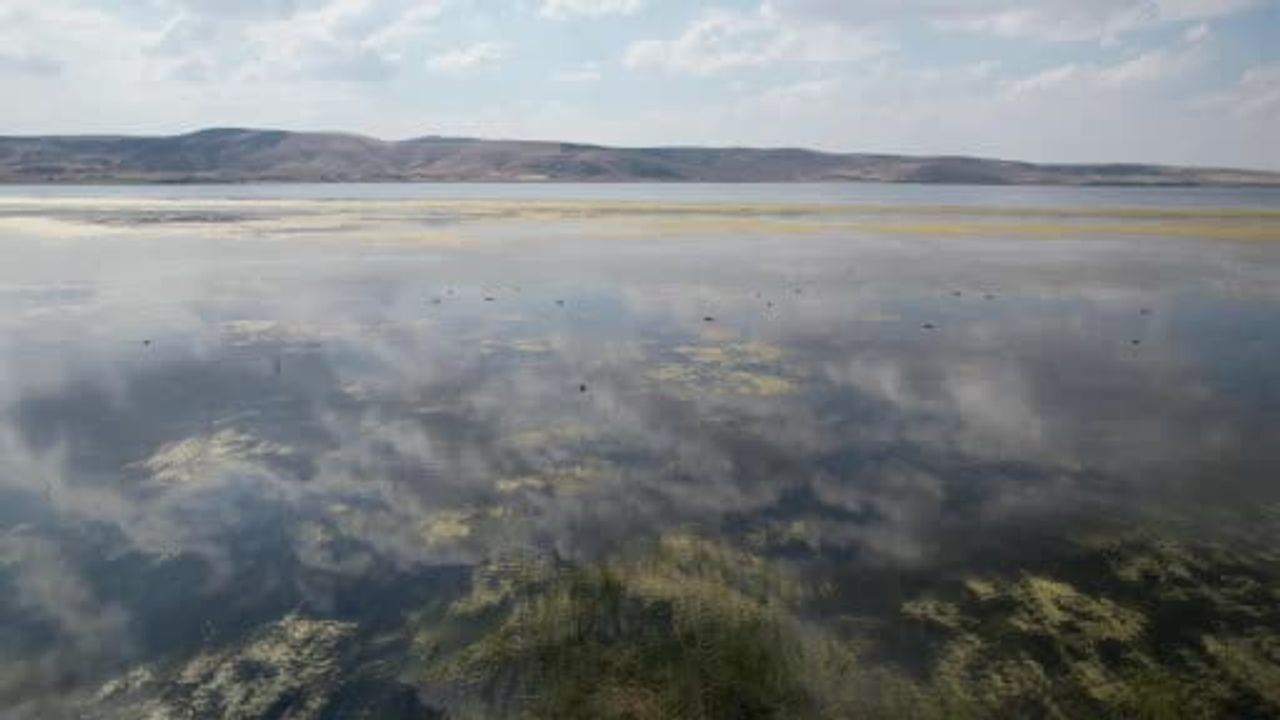 Ilgın'da Çavuşçu Gölü suya kavuştu, hedef balıkçılık