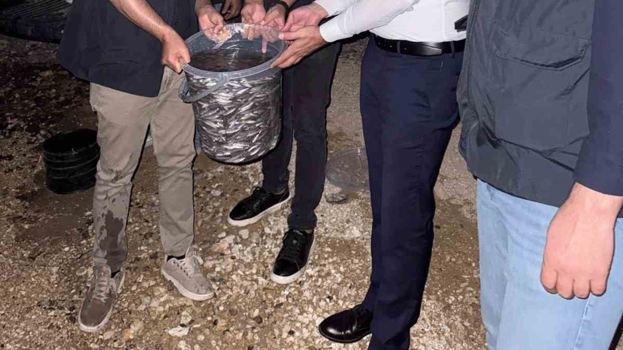 Ilısu'da ekosistemi güçlendirmek için 1 milyon şabut bırakıldı