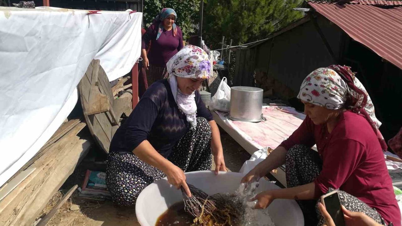 Imeceyle duttan hayat: Kemaliye kadınlarının pestil ve pekmez geleneği