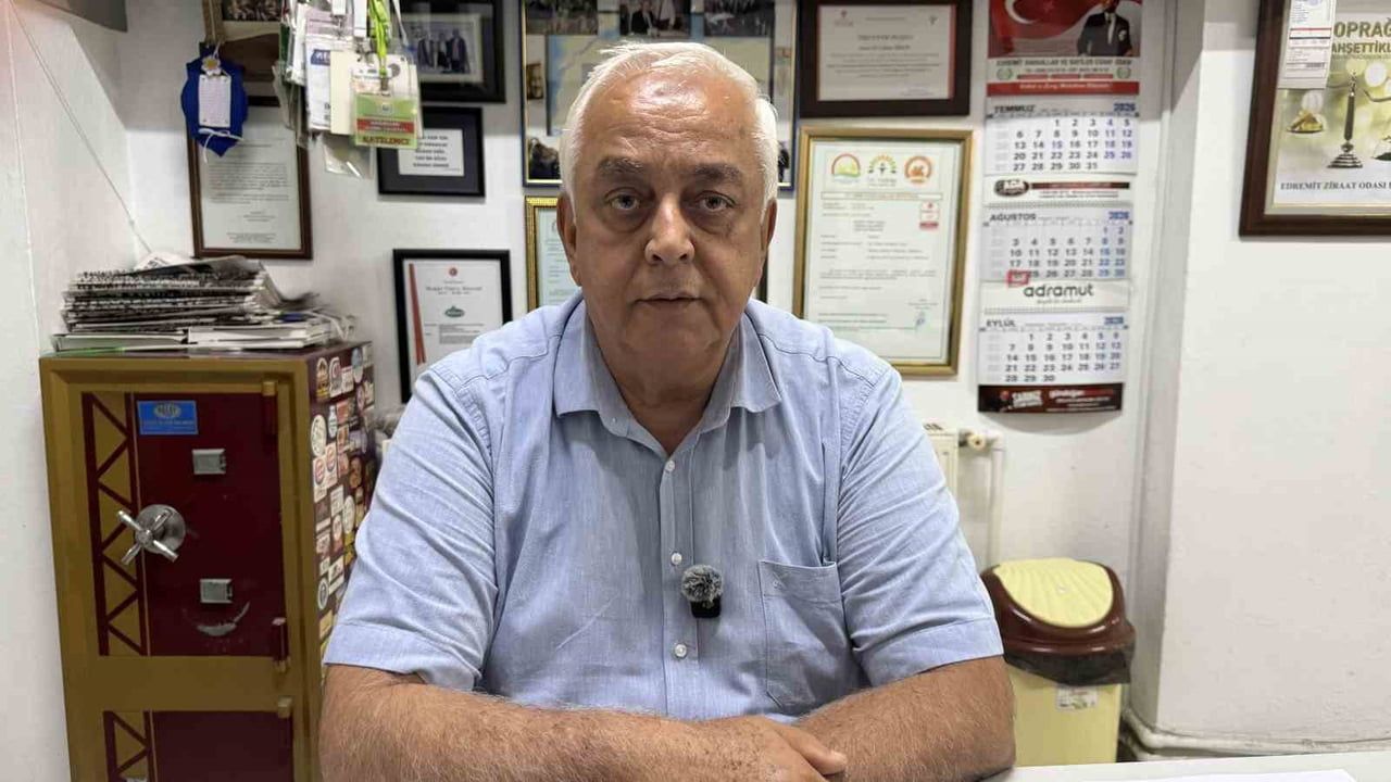 İnternette tağşişli zeytinyağı toptan fiyatları aştı, üreticiler uyarıyor