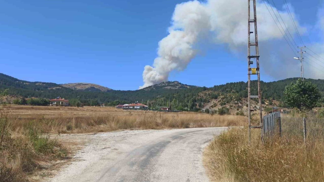 Işık Dağı'nda orman yangınına havadan ve karadan müdahale sürüyor