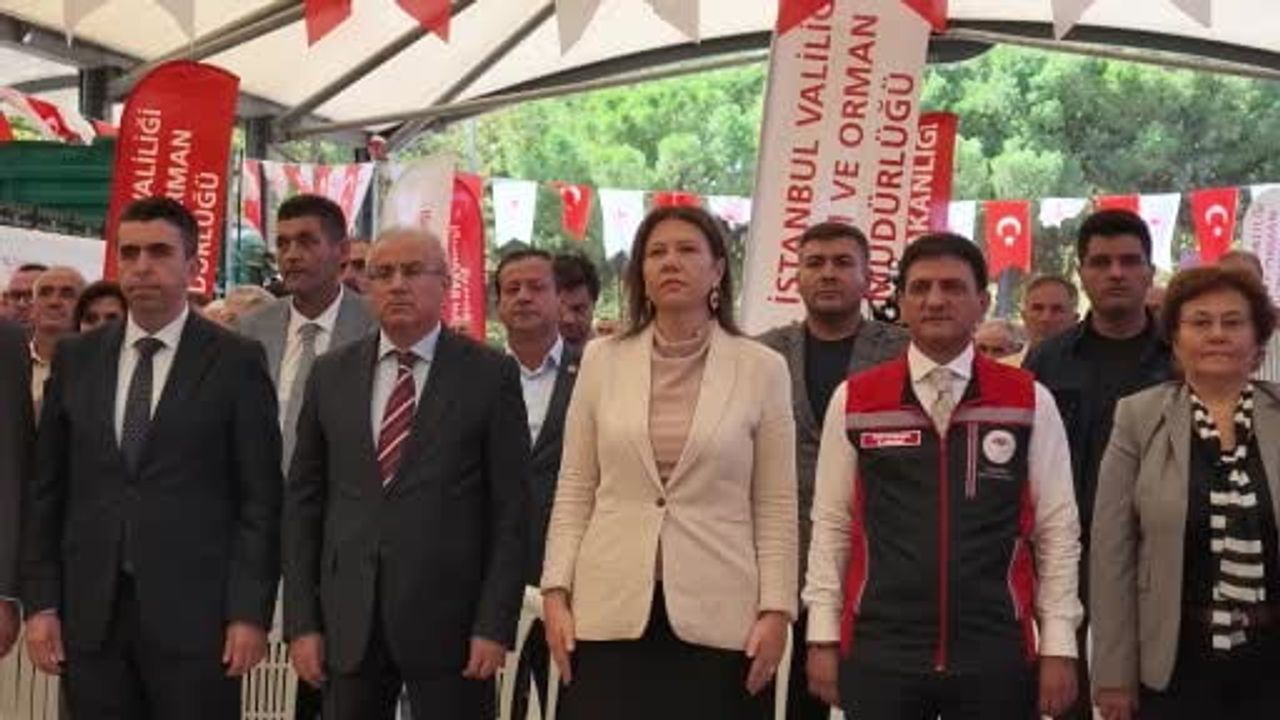 İstanbul'da üretime güç: 4 bin 504 çiftçiye tohum, fide ve sera örtüsü desteği