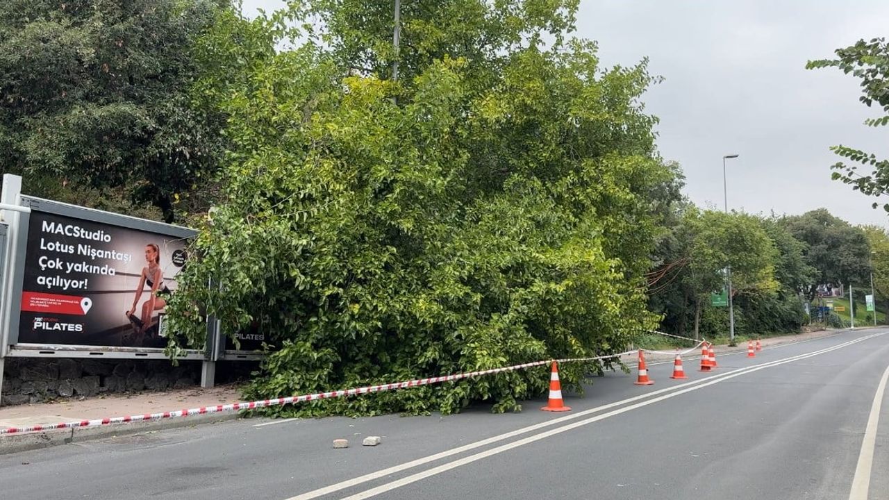 İstanbul yağışı hayatı sekteye uğrattı; Şişli'de ağaçlar, Beşiktaş'ta rögarlar taştı
