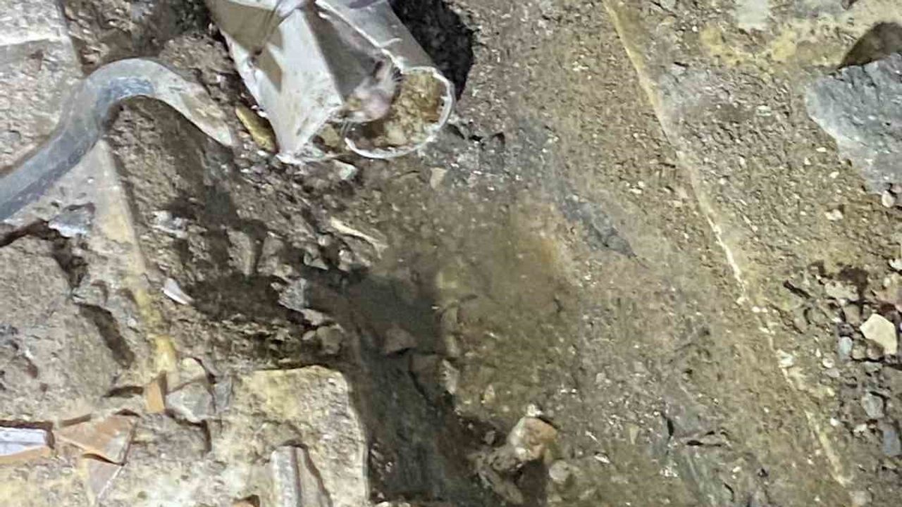 Itfaiye ekipleri su borusuna sıkışan yavru kediyi kurtardı